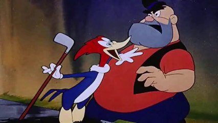 PICA PAU O BIRUTA AS SOLTAS