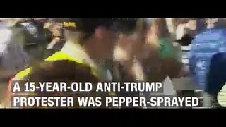Teen Pepper Sprayed At Trump Rally