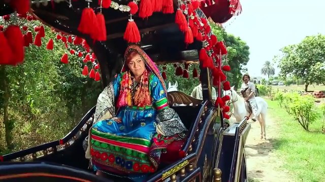 Pashto New Film Songs Lewany Pukhtoon - Trailer