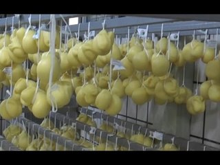 Aversa (CE) - Filiera enogastronomica, forum dei Commercialisti (02.05.16)