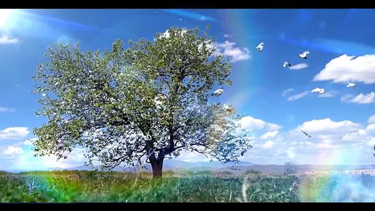 SUBH E HIDAYAT PART 01  12 04 2016