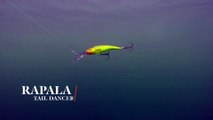 How Lures Swim: Rapala Tail Dancer