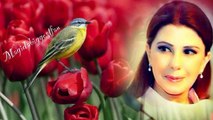 Caruso Magida Elroumi Live in Beit Eddine -Magidabiggestfan