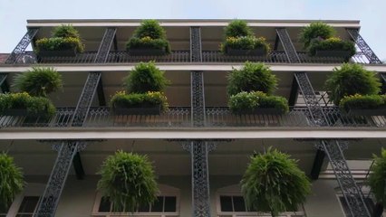 Inside the French Quarter's Most Unique Hotel (Sponsored)