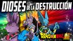 Los Dioses Dragon Ball Super - Champa Bills Goku Origen De La Destruccion