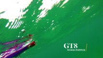 How Lures Swim: GT8 Wood Popper