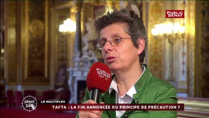 TAFTA : «  Il faut créer un rapport de force avec l’Allemagne » pour Corinne Bouchoux