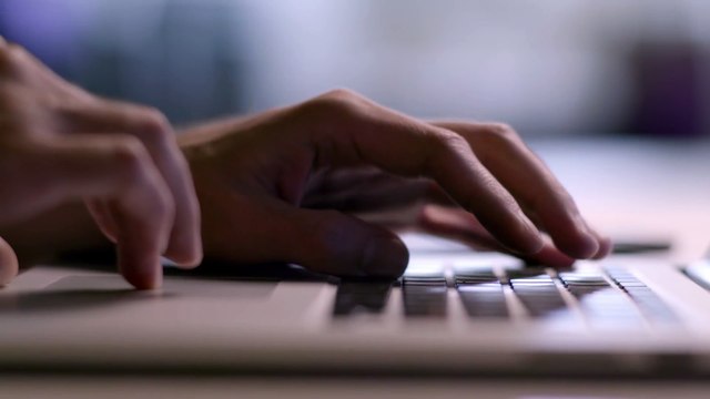 Un collier pour traduire les miaulements des chats en langag