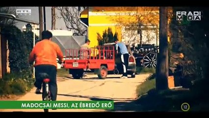 Fókusz - Böde Dániel