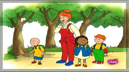 Caillou DVD55 en Español Dibujos Infantiles - Dibujos Pekes - Caillou Español | HD