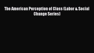 Read The American Perception of Class (Labor & Social Change Series) Ebook Free