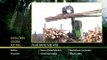 Log Loader John Deere 2954D Swing Machine