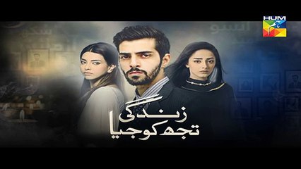 Zindagi Tujh Ko Jiya Episode 42 Promo HD Hum TV Drama 02 May 2016
