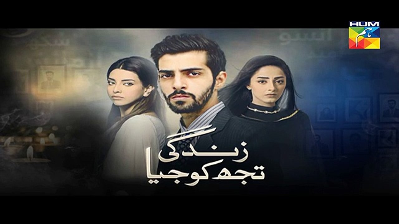 Zindagi Tujh Ko Jiya Episode 42 Promo HD Hum TV Drama 02 May 2016