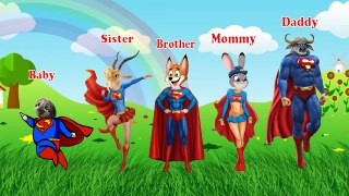 Zootopia Superman Cartoons For Kids | Nursery Rhymes Songs For Kids [ PCS Channel #8 ]