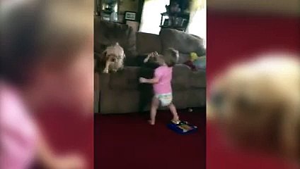 Un bébé et un chien font un tir à la corde. Trop mignon