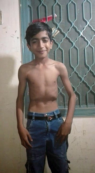 pakistani tiger
