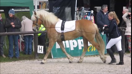 le cheval autrement 2016