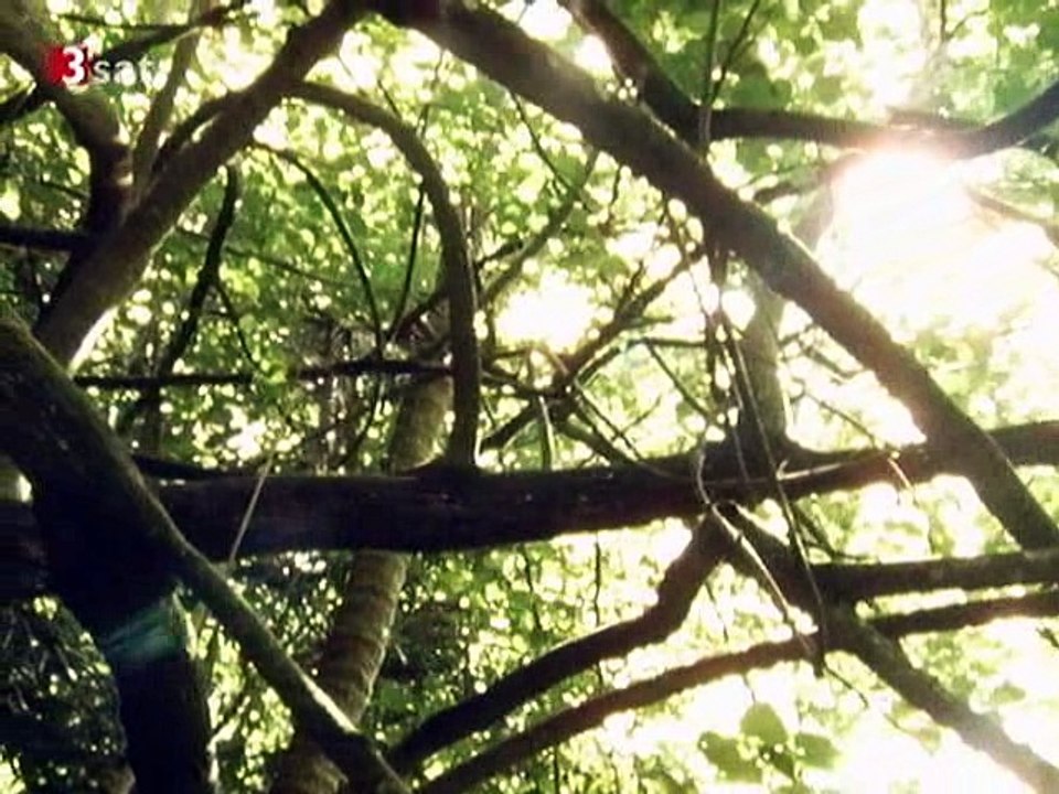 Terra X - Stiller Ozean - Sprechende Steine