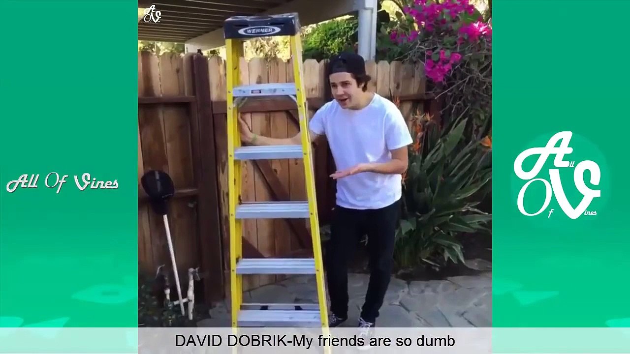 Vine Compilation