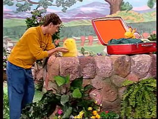 פרפר נחמד געגועים ופרידה