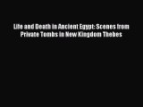 [Read book] Life and Death in Ancient Egypt: Scenes from Private Tombs in New Kingdom Thebes