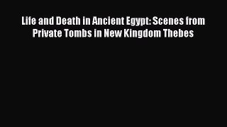 [Read book] Life and Death in Ancient Egypt: Scenes from Private Tombs in New Kingdom Thebes