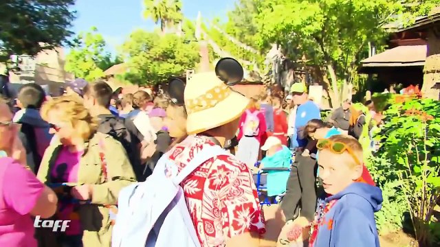 Disneyworld Orlando verrückter gehts kaum! | taff | ProSieben