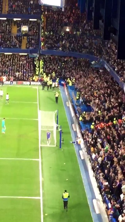 Ludo slavlje navijača Tottenhama
