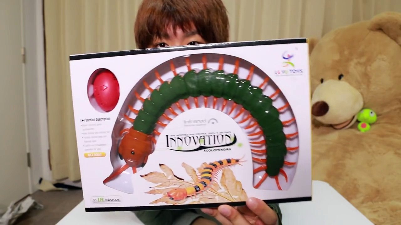 巨大ムカデドッキリ