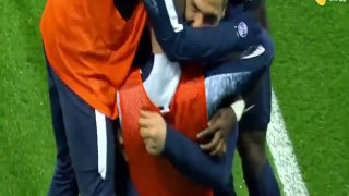 Paris Saint-Germain vs Rennes 4-0 All Highlights Ibrahimovic, Maxwell, Cavani Gols 29-4-2016 Ligue 1