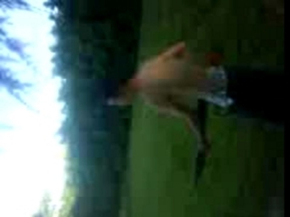 Melvin avec les crapo