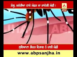 Fish that will protect from Dengu and Malaria mosquitos