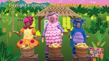 Peek a Boo and More | Nursery Rhymes from Mother Goose Club!