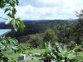 ST. LUCIA 042 P1080655