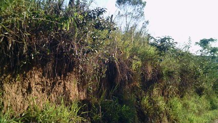 Mountain bike, Soul aro 29. 24 marchas, rumo as trilhas da Taubike, Soul, 36 km, 36 bikers, Taubaté, SP, Brasil, Marcelo Ambrogi,