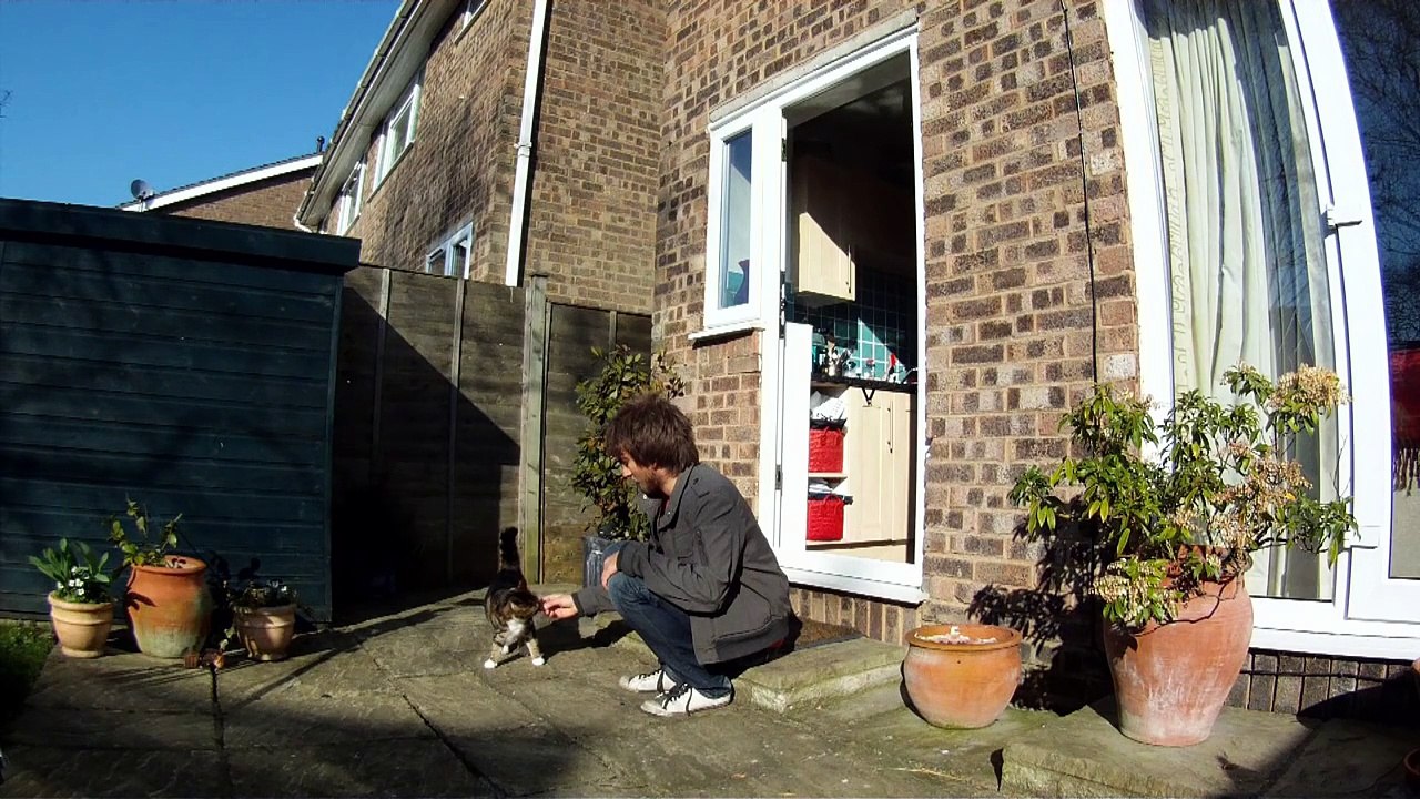 Gravity Defying Cat - The Slow Mo Guys