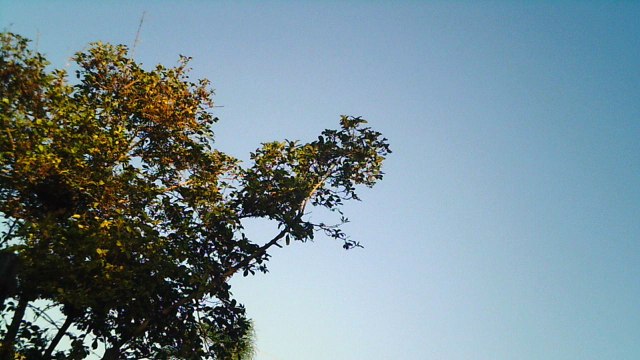 Mountain bike, Soul aro 29. 24 marchas, rumo as trilhas da Taubike, Soul, 36 km, 36 bikers, Taubaté, SP, Brasil, Marcelo Ambrogi,