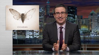 Last Week Tonight with John Oliver- Cicadas (Web Exclusive)