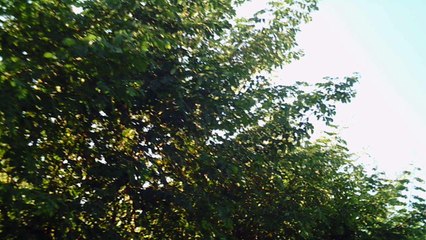 Mountain bike, Soul aro 29. 24 marchas, rumo as trilhas da Taubike, Soul, 36 km, 36 bikers, Taubaté, SP, Brasil, Marcelo Ambrogi,