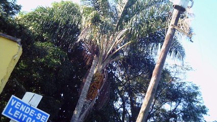 Mountain bike, Soul aro 29. 24 marchas, rumo as trilhas da Taubike, Soul, 36 km, 36 bikers, Taubaté, SP, Brasil, Marcelo Ambrogi,