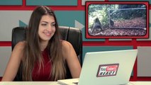 YOUTUBERS REACT EXTRAS - ANIMALS IN MIRRORS (Extras #71)