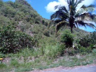 ST. LUCIA 043 P1080656