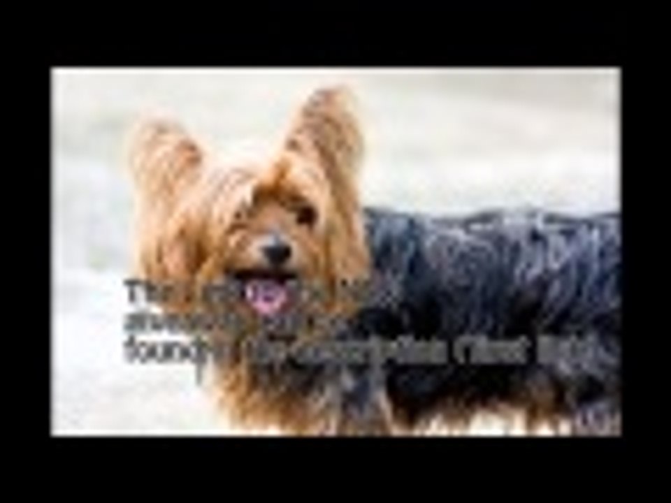 Winner and another free Steam Key Giveaway - On Facebook!