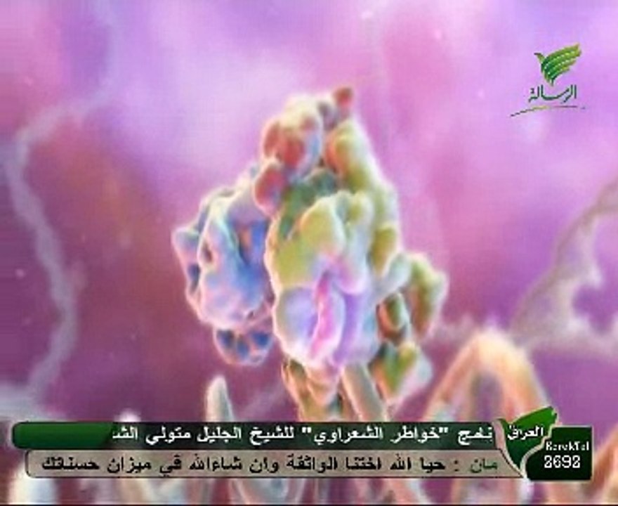آلاء (3) - 29 - الصلع
