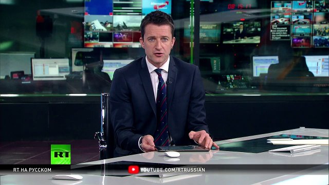 Партия «Альтернатива для Германии» одобрила антиисламский предвыборный манифест