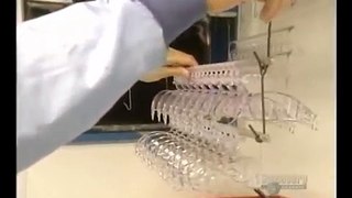 How Its Made Safety Glasses