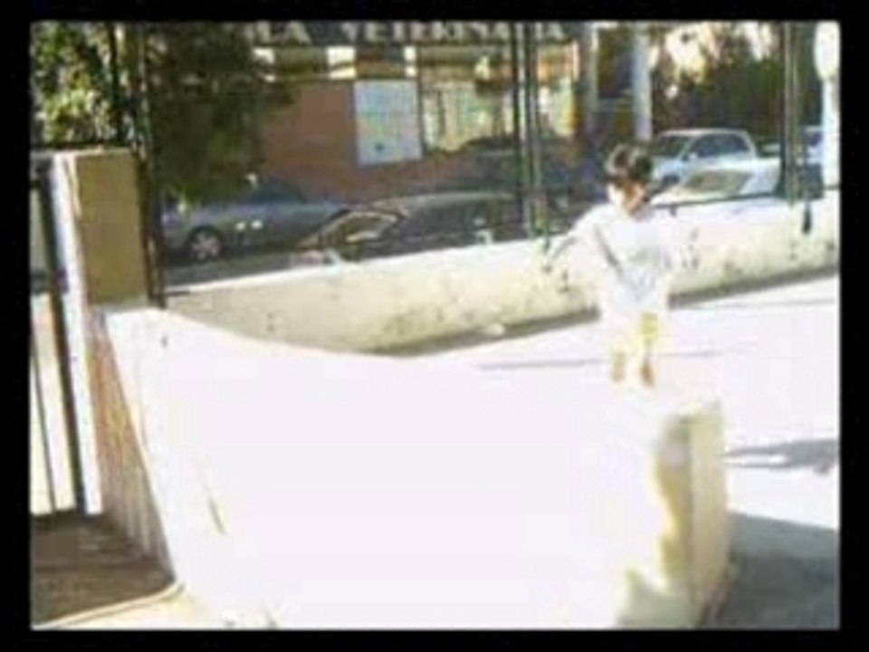 Urban wolf (angel)