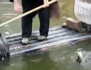 Karabatak İle Balık Avlamak