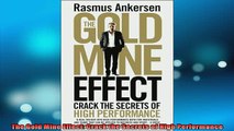 READ FREE Ebooks  The Gold Mine Effect Crack the Secrets of High Performance Full Free